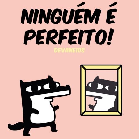 Capa do livro Ninguém é perfeito